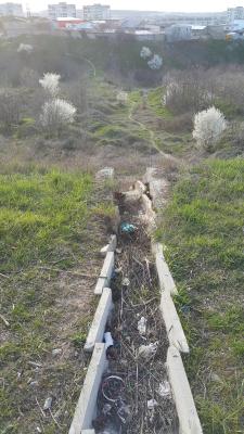 Прикрепленное изображение: 20240330_175614_1.jpg